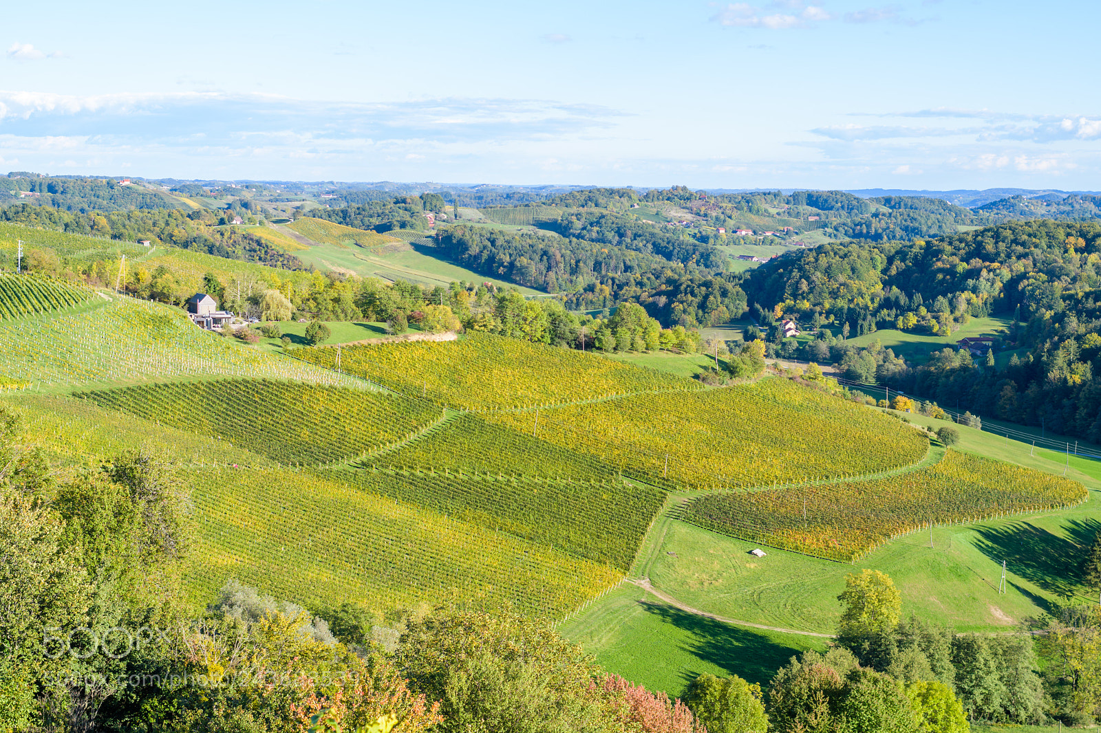 Nikon D500 sample photo. Famous touristic wine road photography
