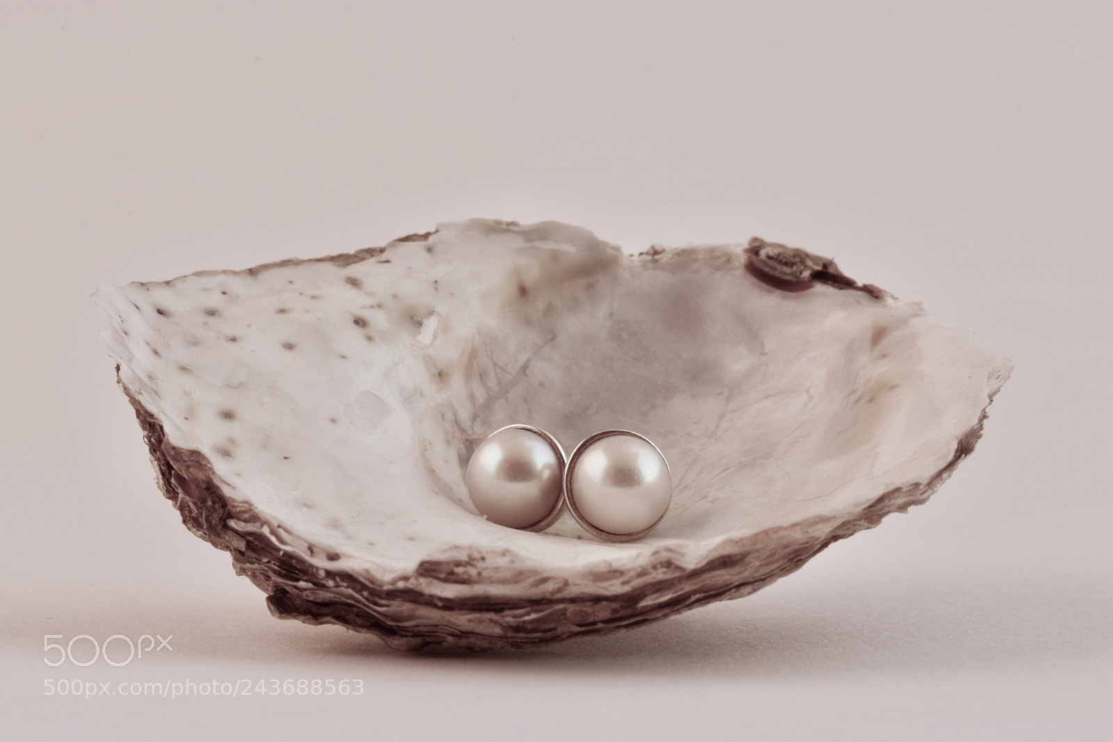 Nikon D7100 sample photo. Oyster and pearls photography