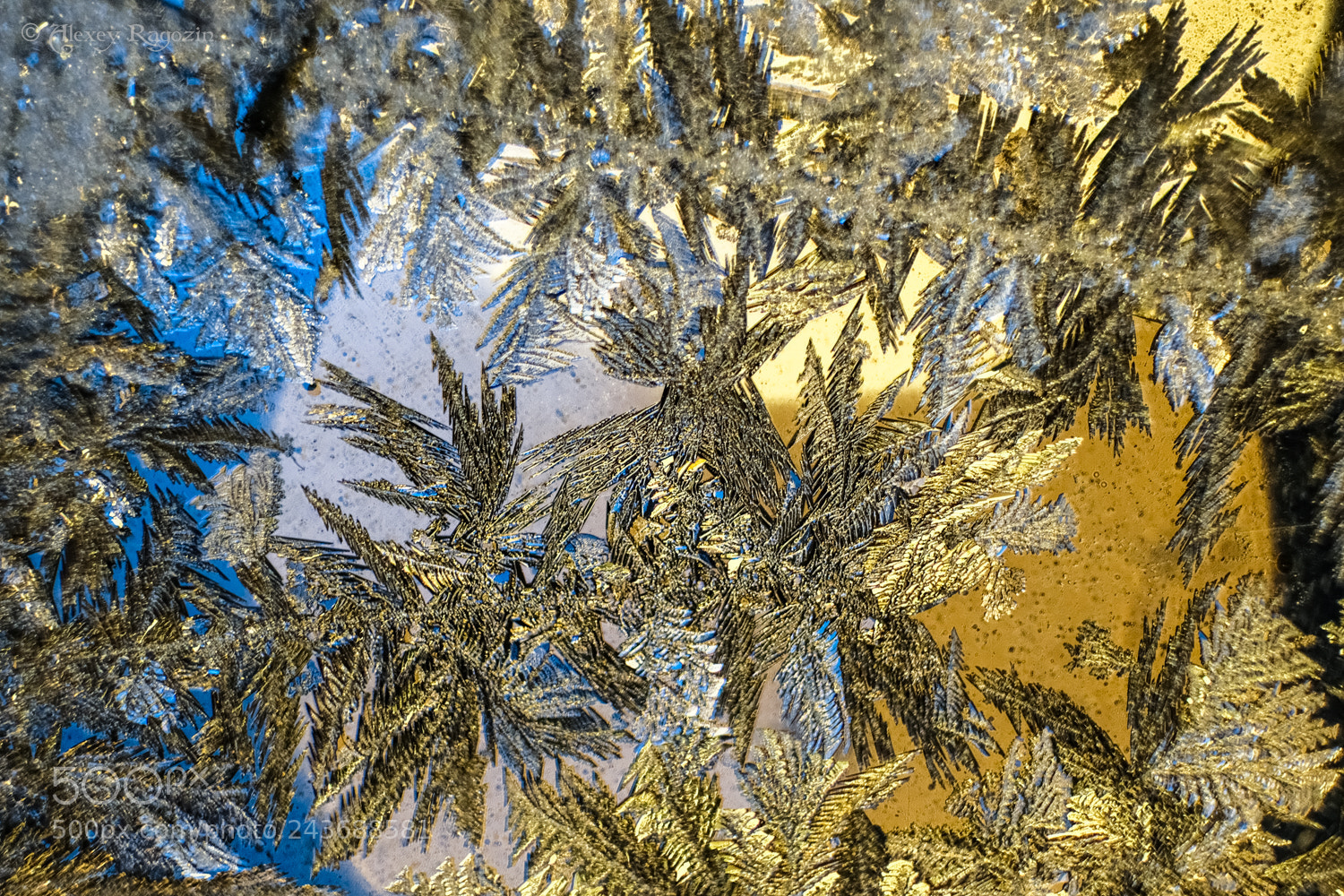 Fujifilm X-T2 sample photo. Frost-artist photography