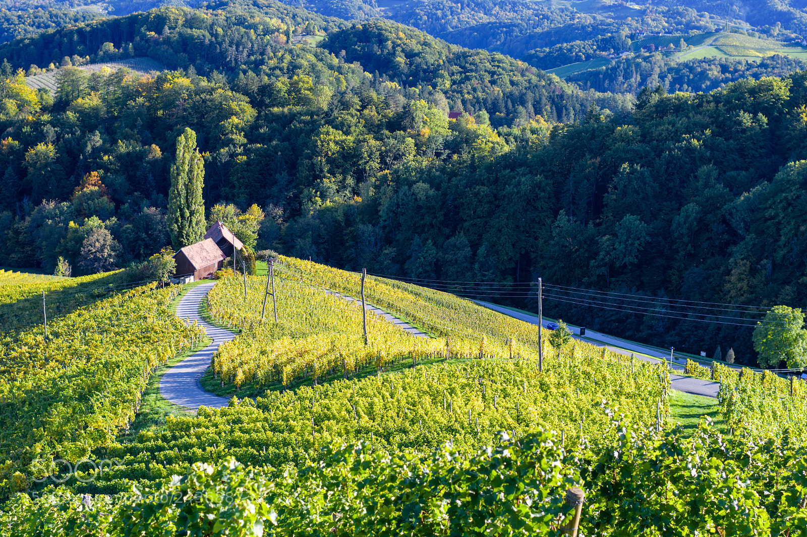 Nikon D500 sample photo. Famous heart shaped wine photography