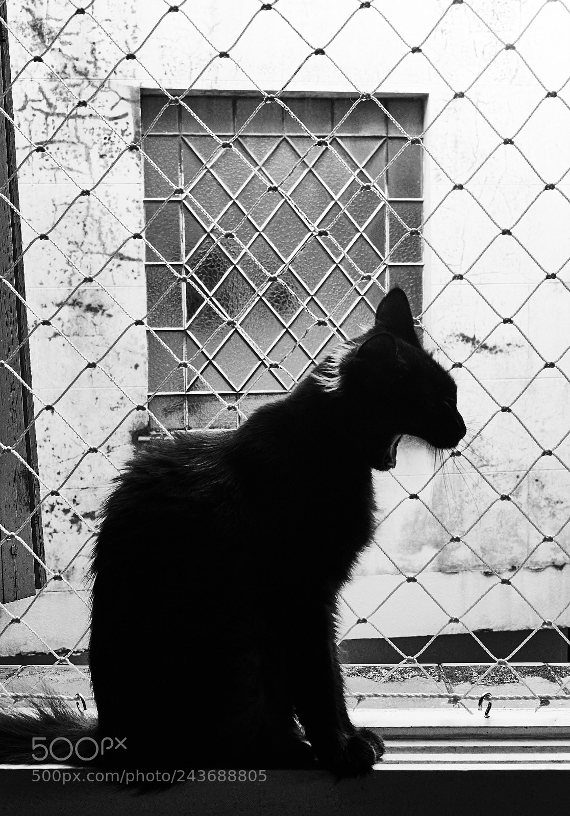 Fujifilm X-T10 sample photo. Tenebra photography