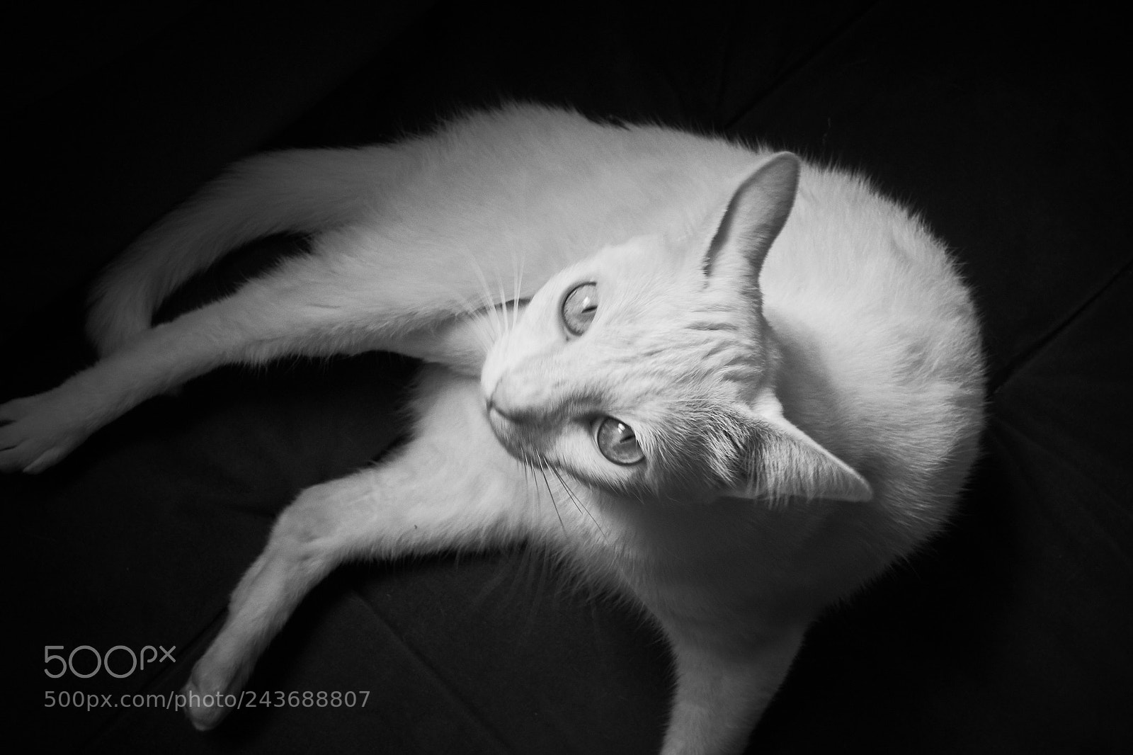 Fujifilm X-T10 sample photo. Alice photography