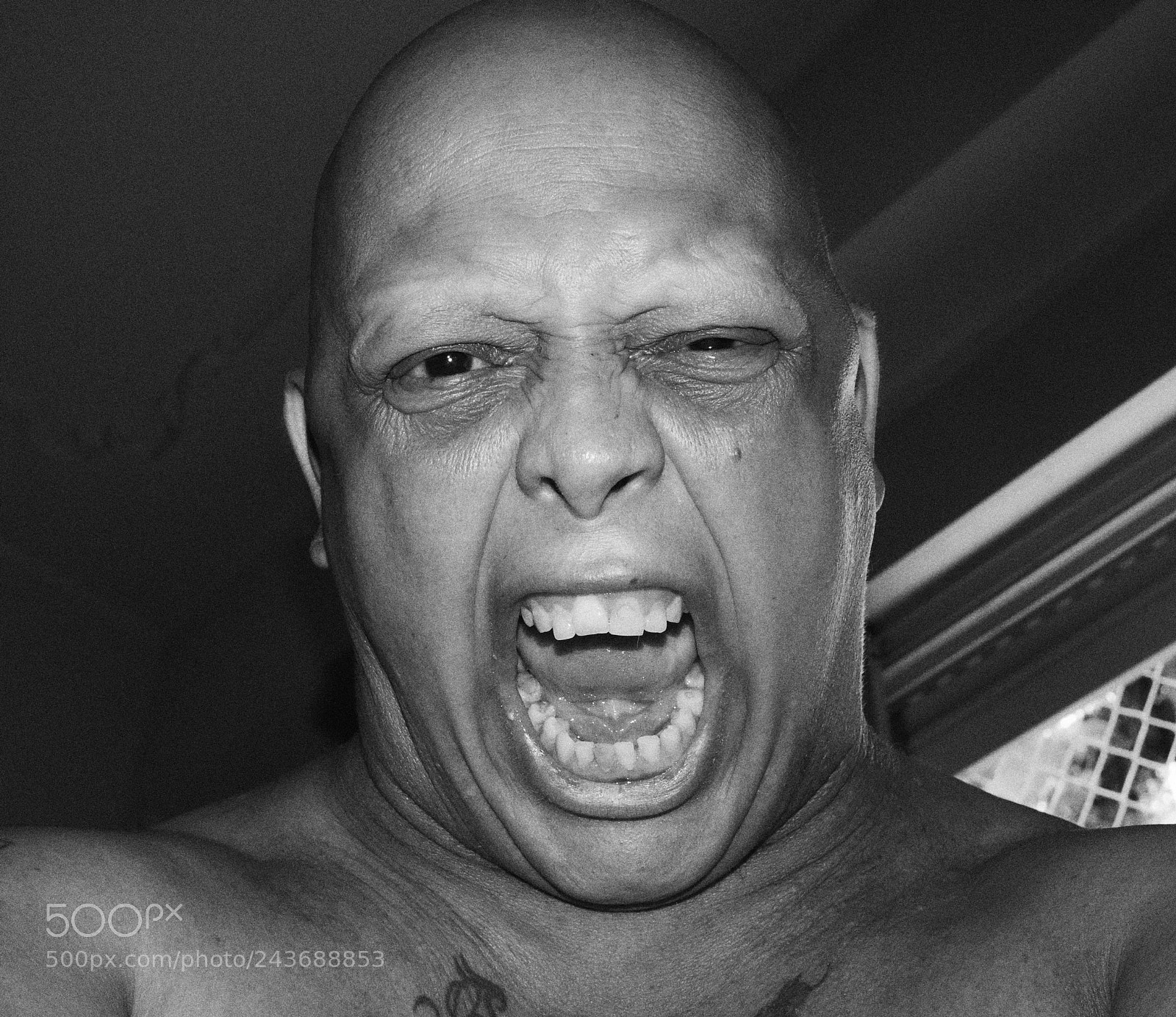 Fujifilm X-T10 sample photo. Angry photography