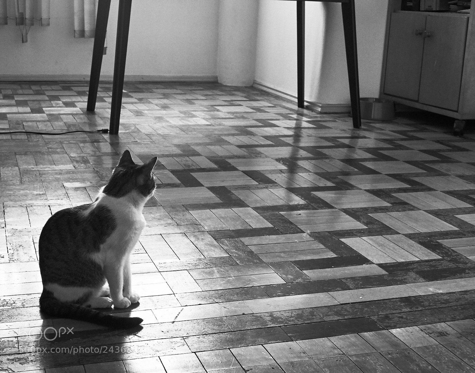 Fujifilm X-T10 sample photo. Eleven perdida photography