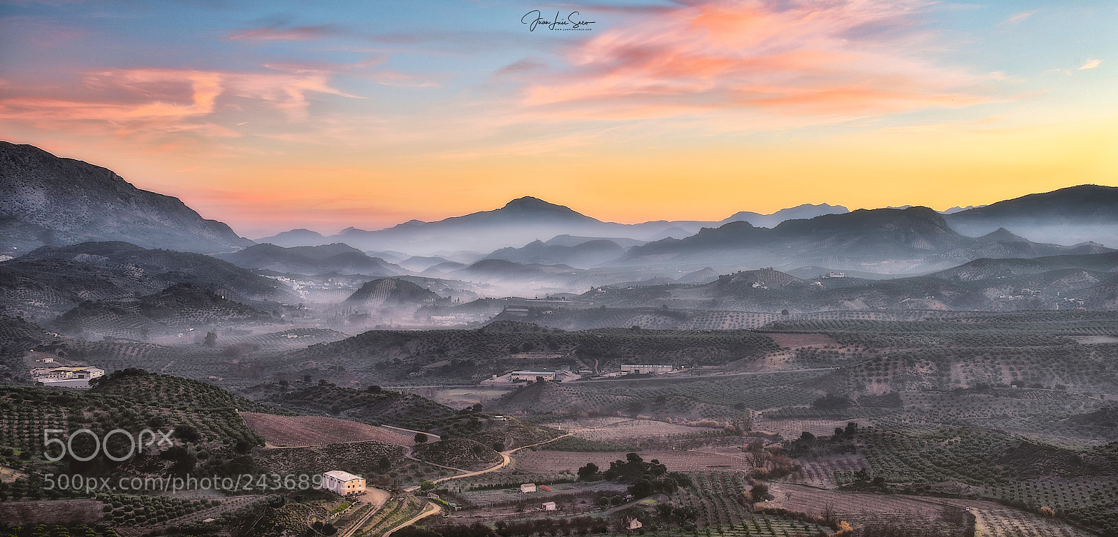 Nikon D810 sample photo. Entre la bruma... photography