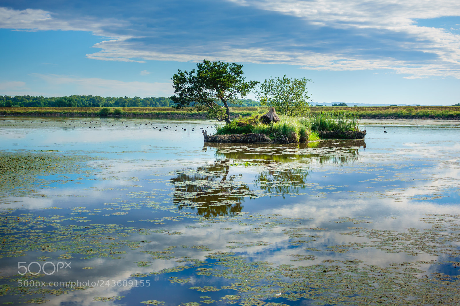 Sony DSC-RX100M5 sample photo. Lake landscape early in photography