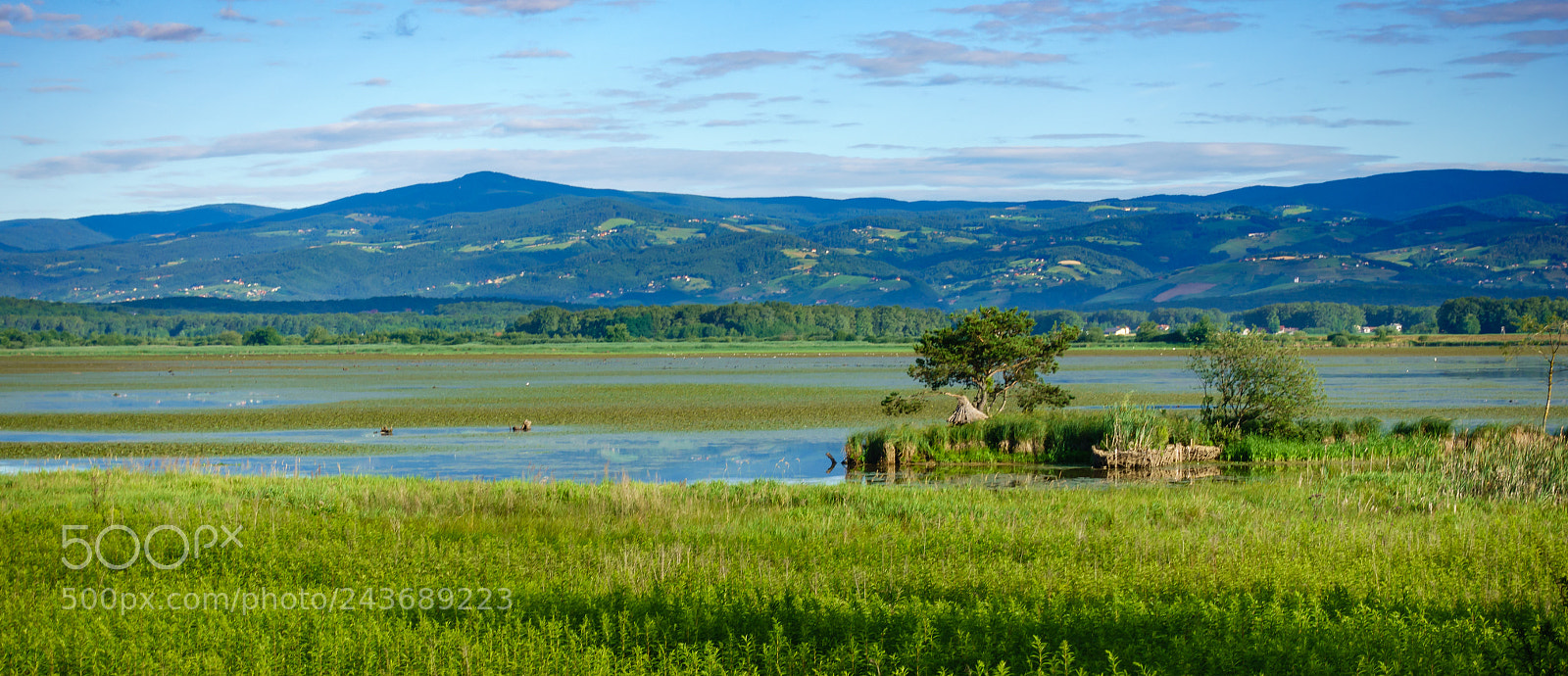 Sony DSC-RX100M5 sample photo. Lake landscape early in photography