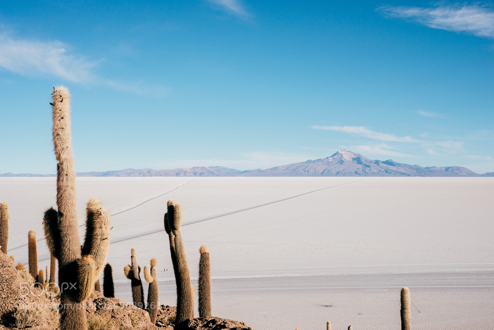 Nikon D800 sample photo. Isla incahuasi. photography
