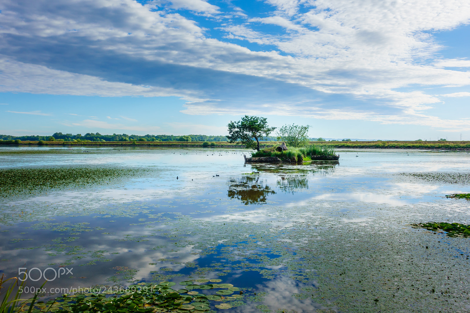 Sony DSC-RX100M5 sample photo. Lake landscape early in photography