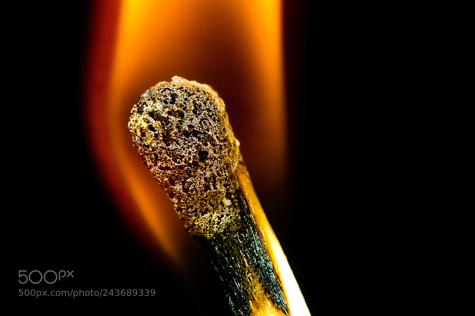 Sony SLT-A77 sample photo. Inflamed photography