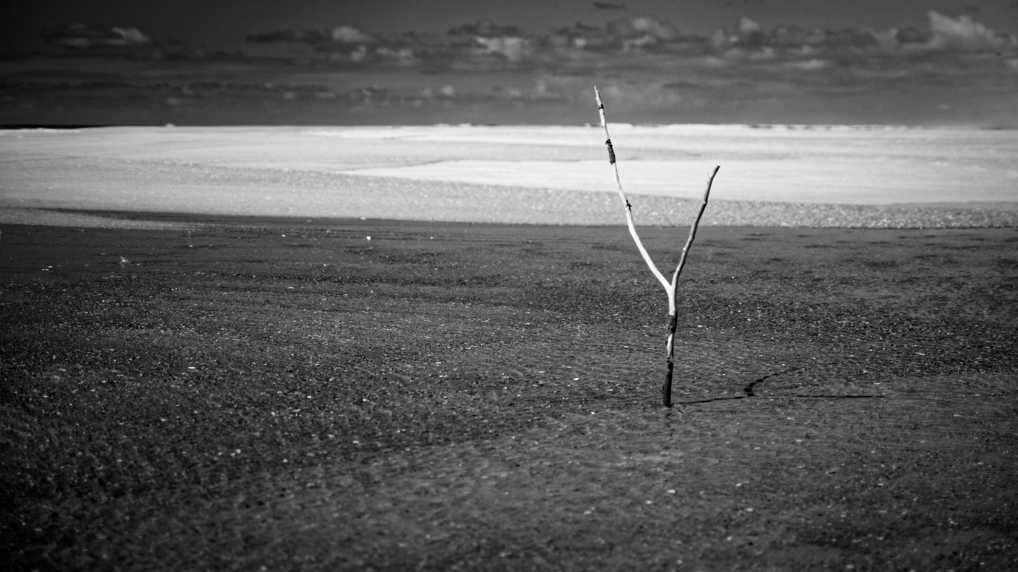 Nikon D7100 sample photo. Et au pire ... photography