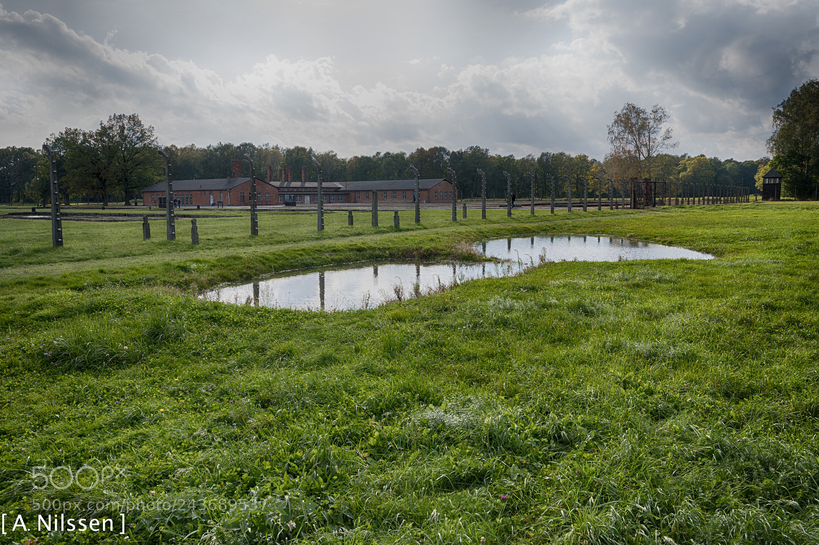Nikon D500 sample photo. Birkenau - pond photography