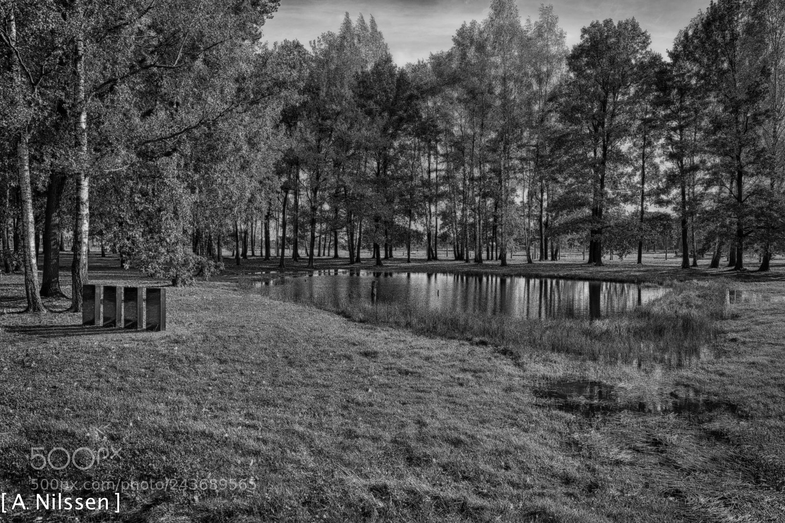 Nikon D500 sample photo. Here lie their ashes #3 photography