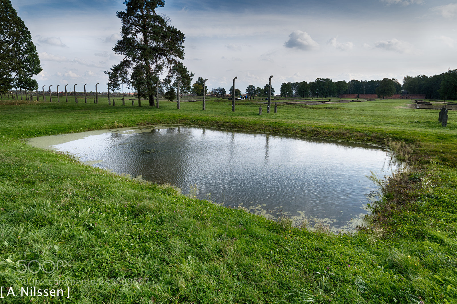 Nikon D500 sample photo. Pond photography