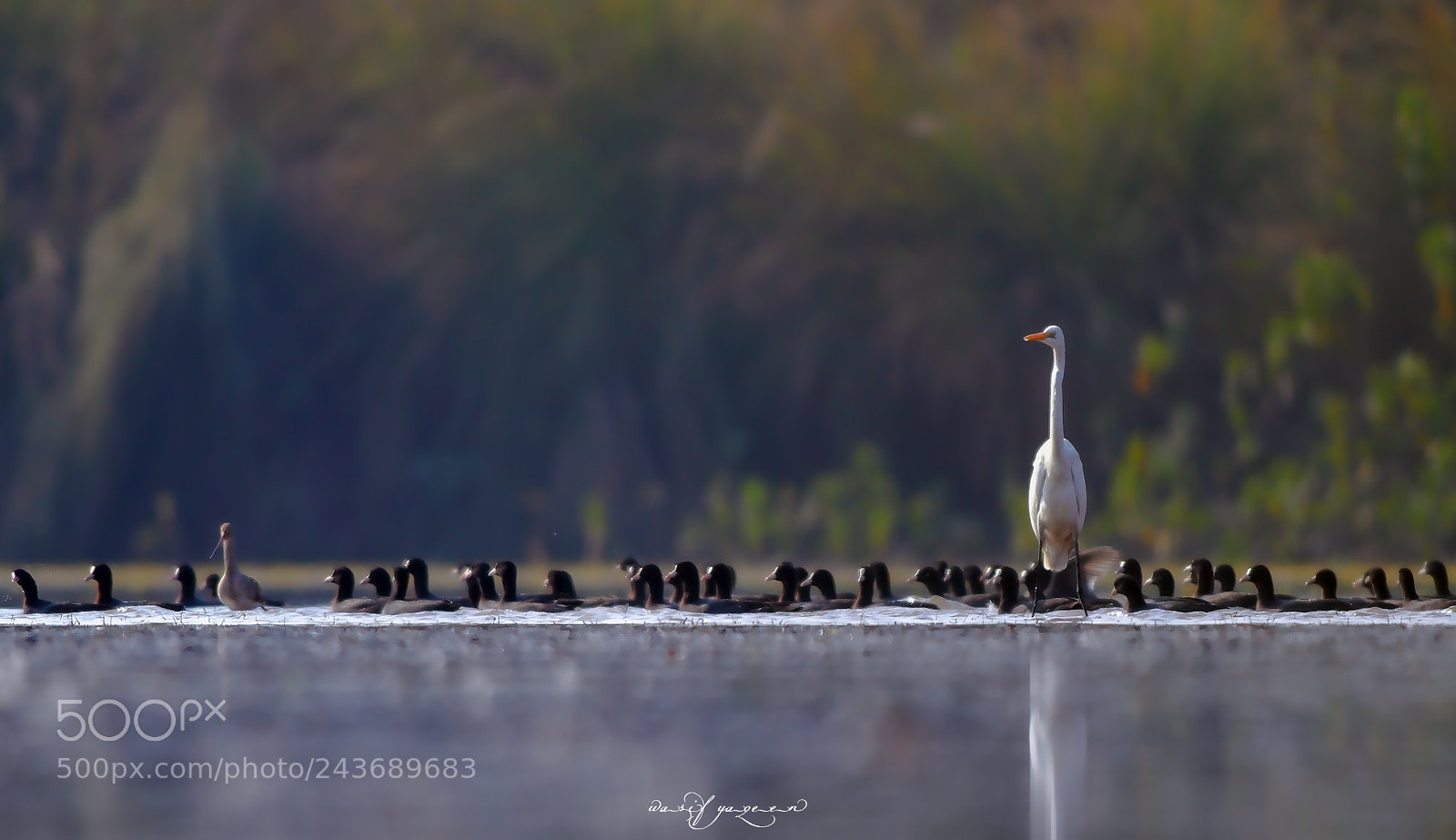 Canon EOS-1D Mark IV sample photo. Nature photography
