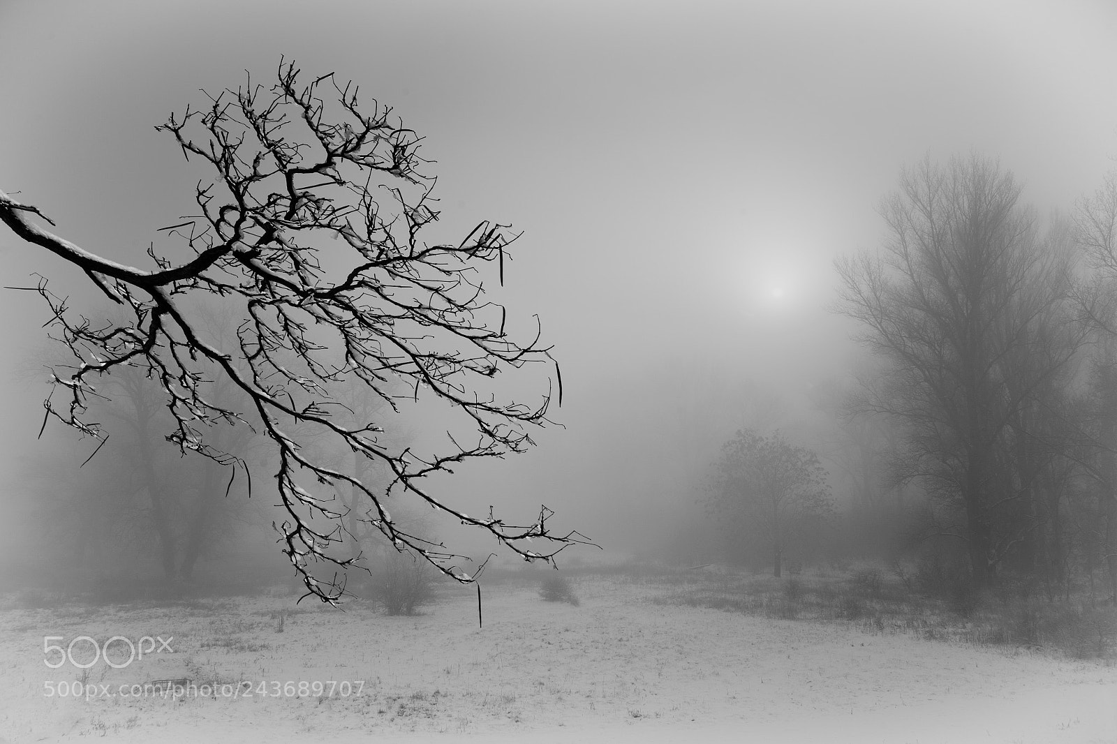 Canon EOS 5D sample photo. Winter day photography