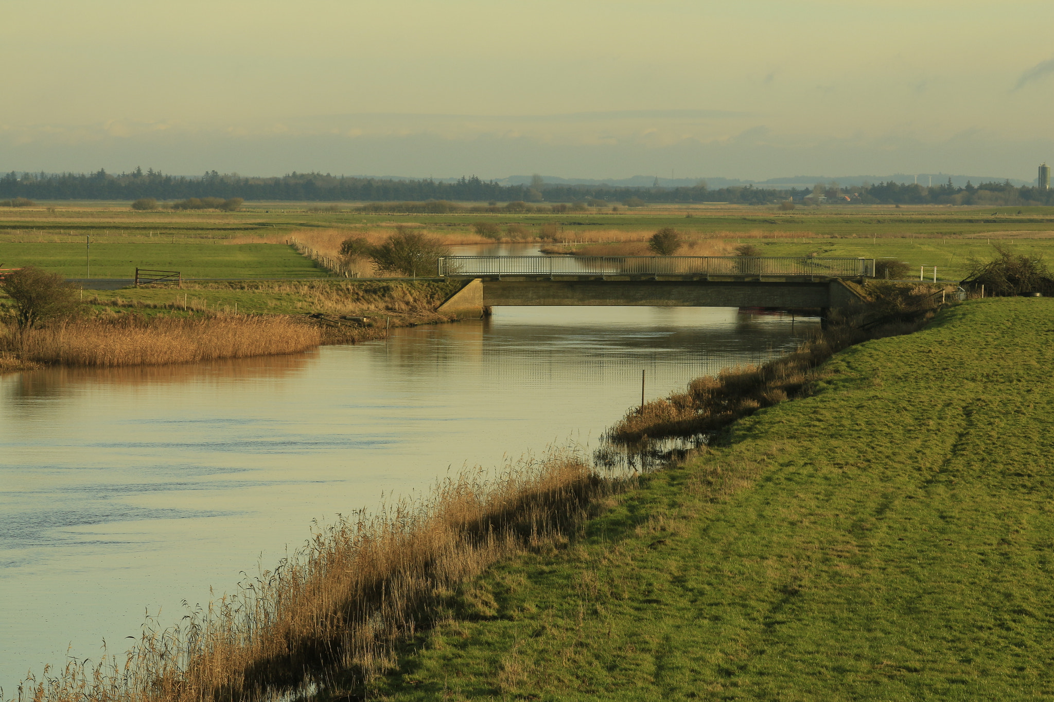 Canon EOS 700D (EOS Rebel T5i / EOS Kiss X7i) + Canon EF 70-200mm F4L IS USM sample photo. High water photography