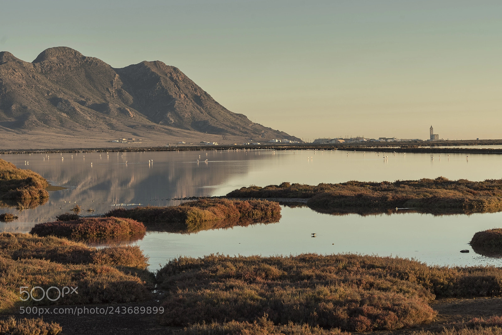 Sony a7S sample photo. Las salinas de cabo photography