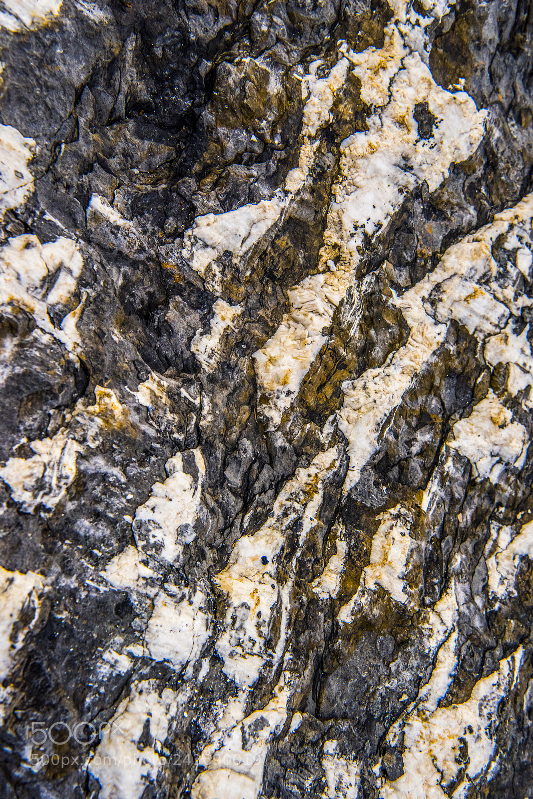 Nikon D810 sample photo. Stones and bird shit photography