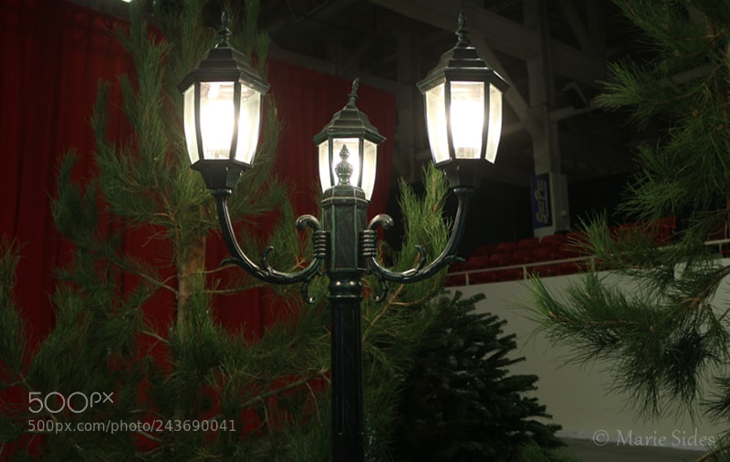 Canon EOS 100D (EOS Rebel SL1 / EOS Kiss X7) sample photo. Lamp post photography