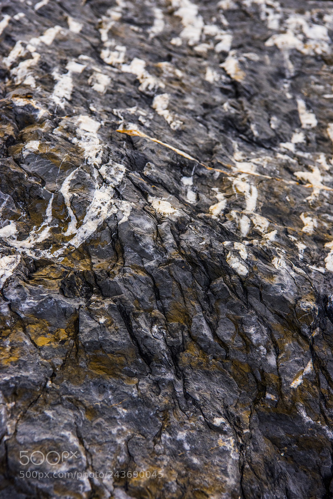 Nikon D810 sample photo. Stones and bird shit photography
