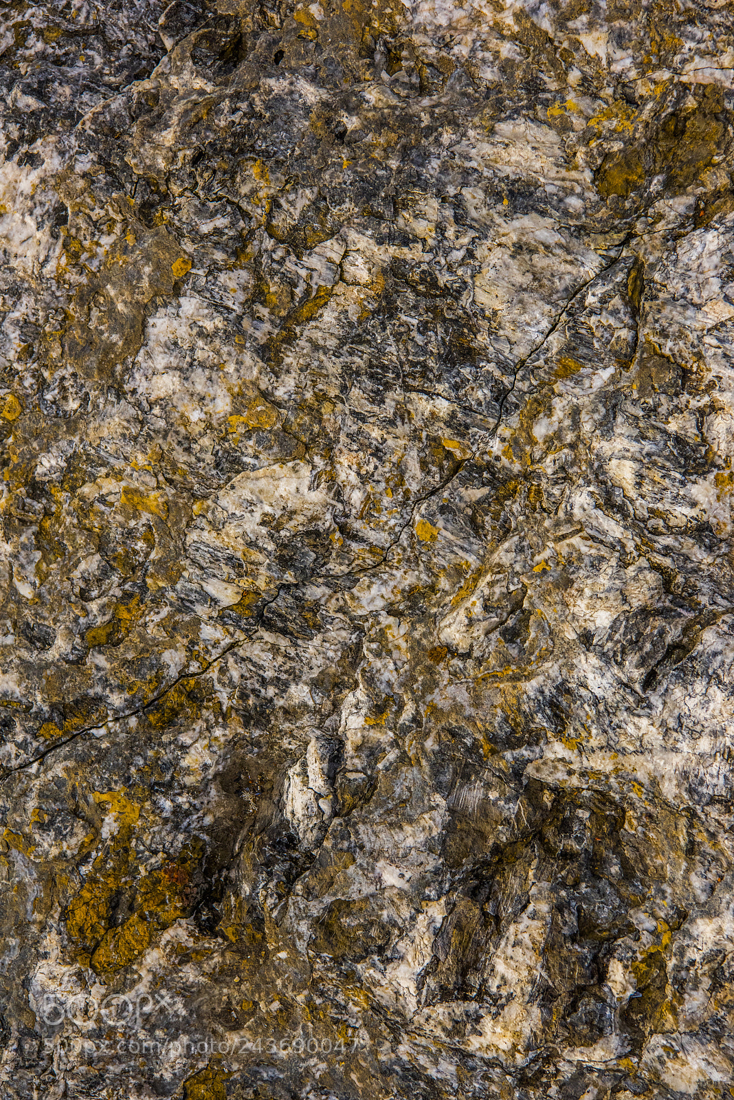 Nikon D810 sample photo. Stones and bird shit photography