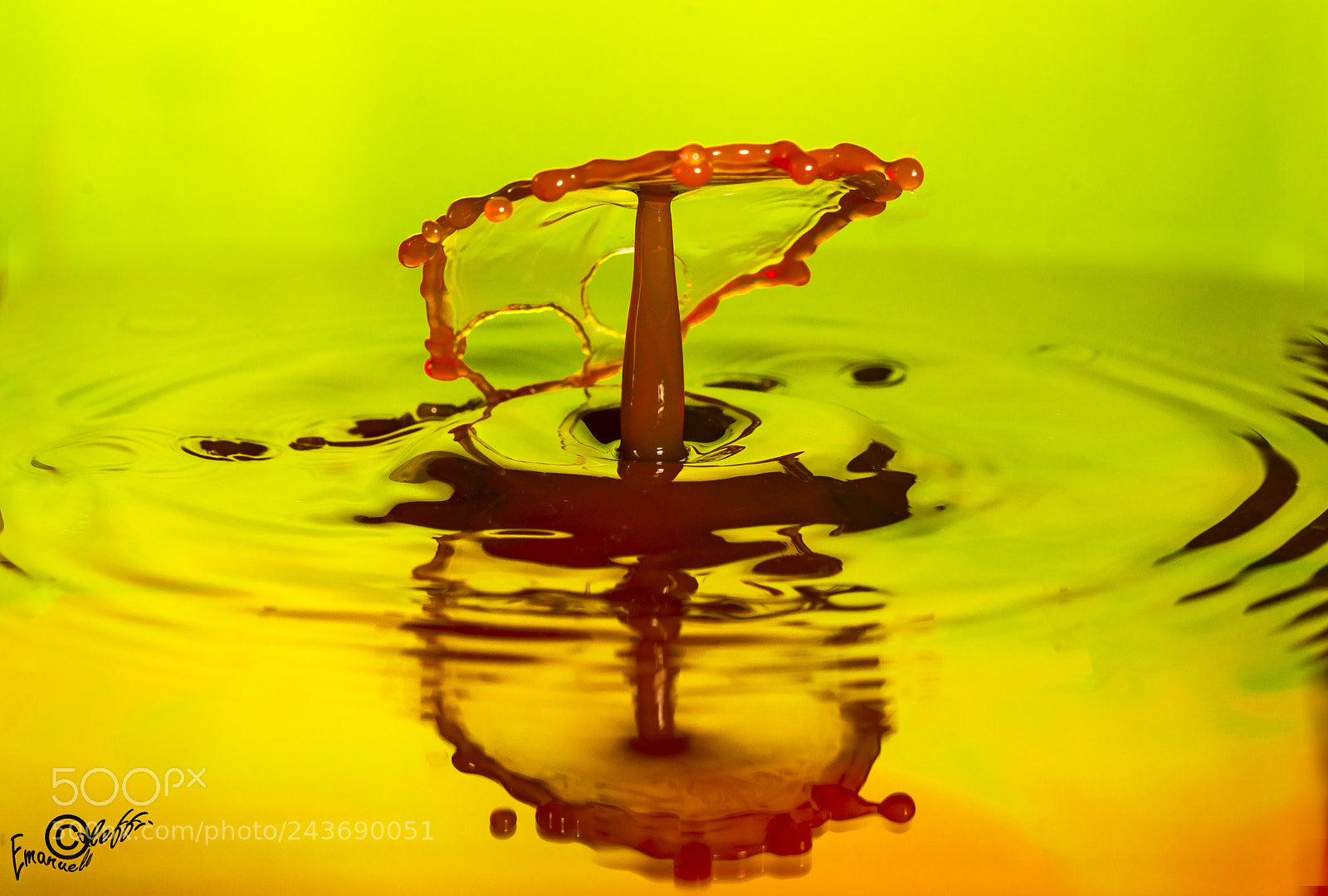 Nikon D800 sample photo. Mirror's drop photography