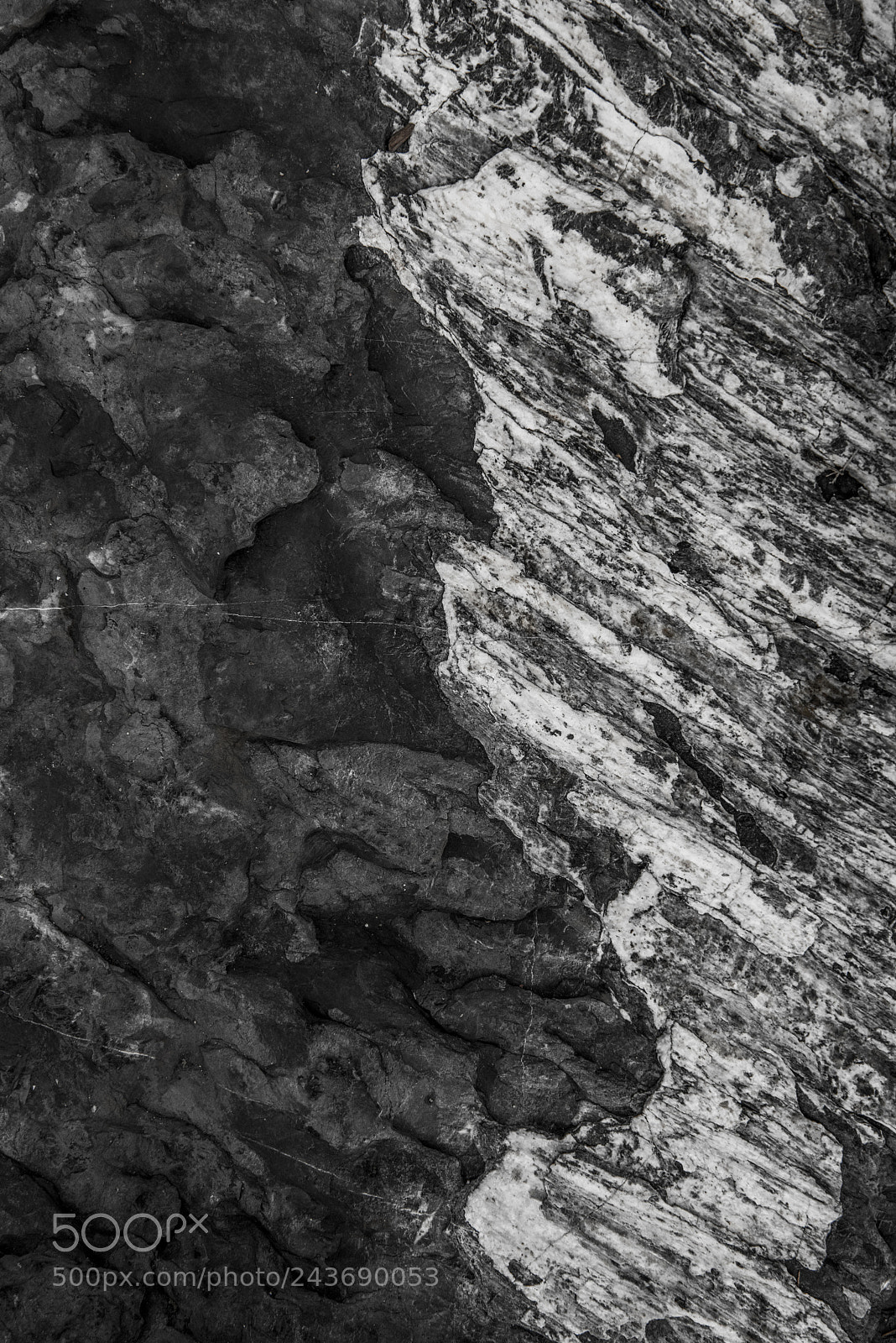 Nikon D810 sample photo. Stones and bird shit photography