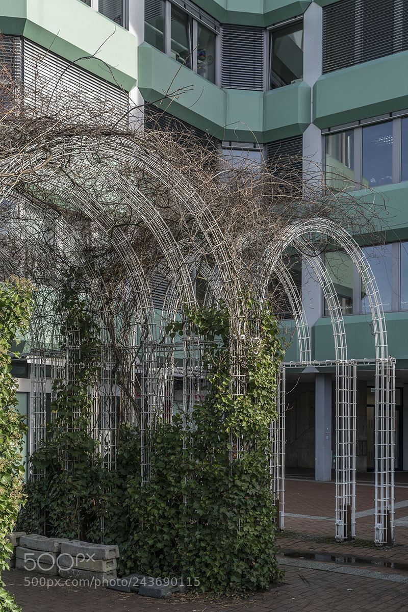Sony a7R II sample photo. Reutlingen 240118-024 photography