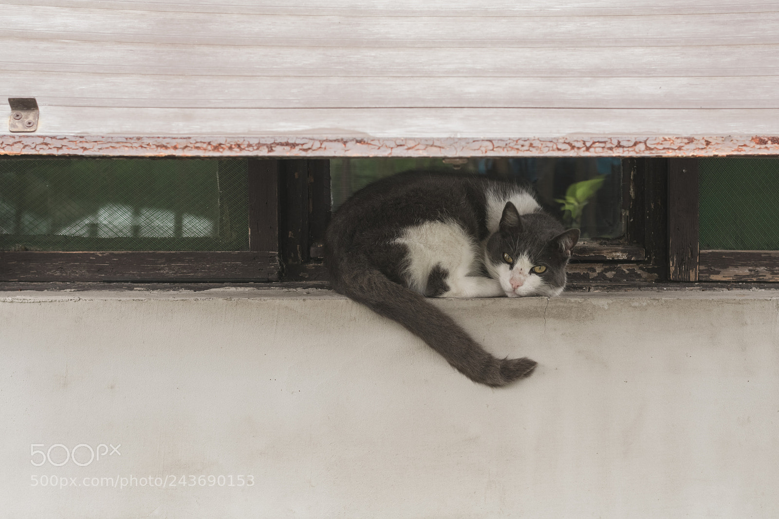 Nikon D7100 sample photo. On the streets of photography