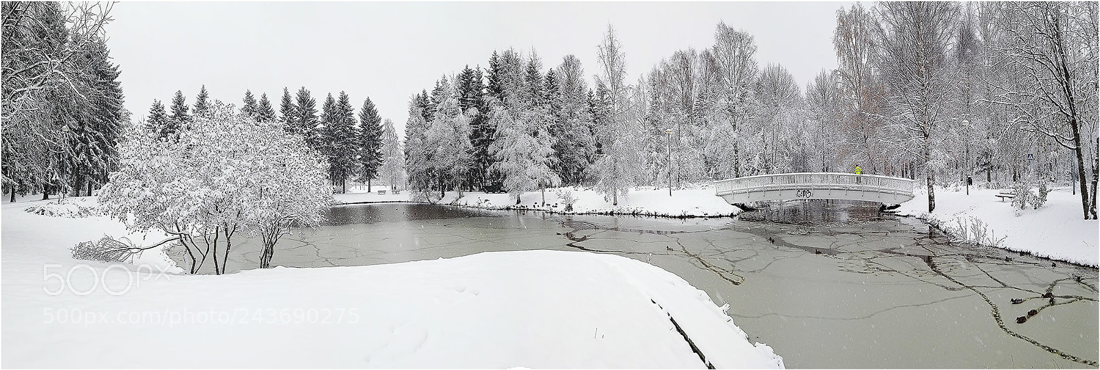 HUAWEI Honor 7 sample photo. Pro-cam photography