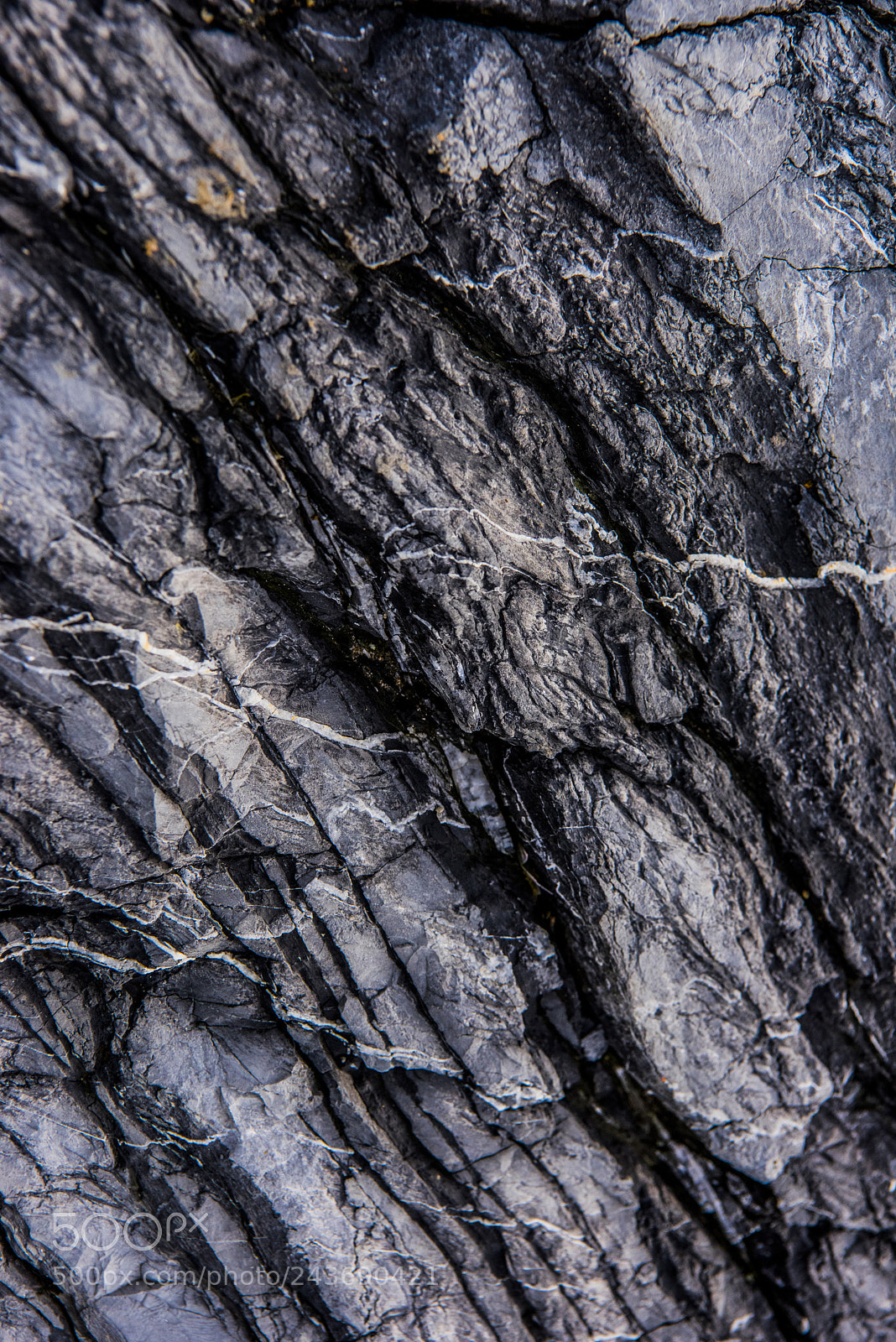 Nikon D810 sample photo. Stones and bird shit photography