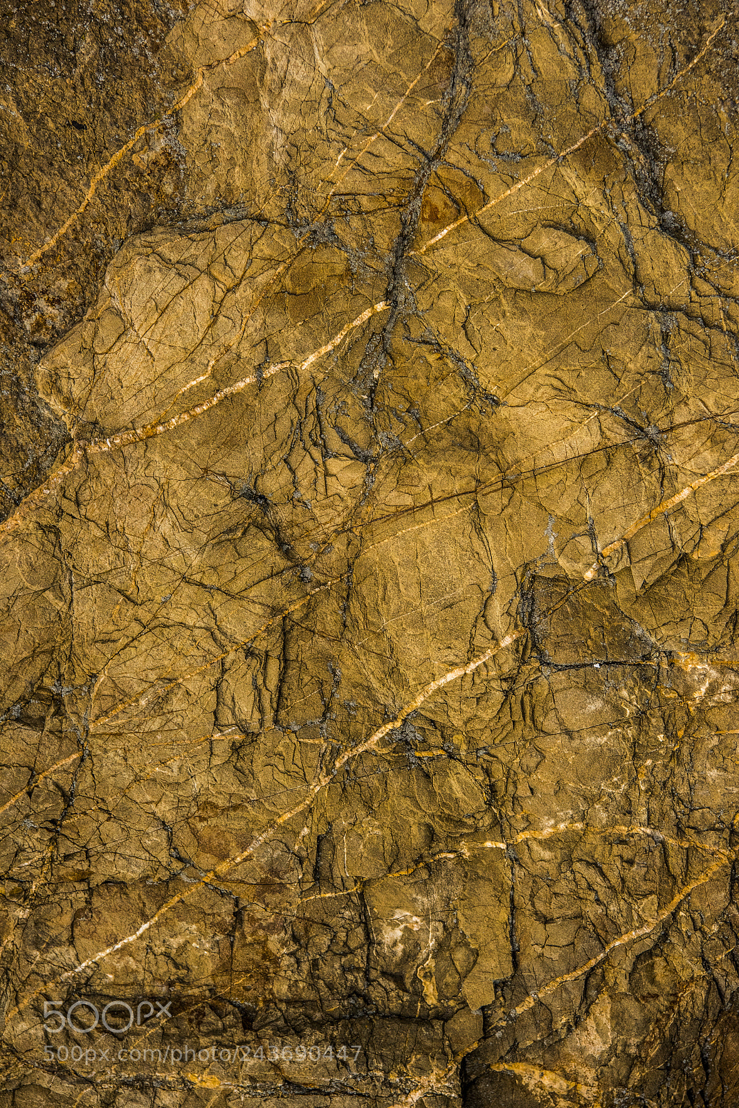 Nikon D810 sample photo. Stones and bird shit photography