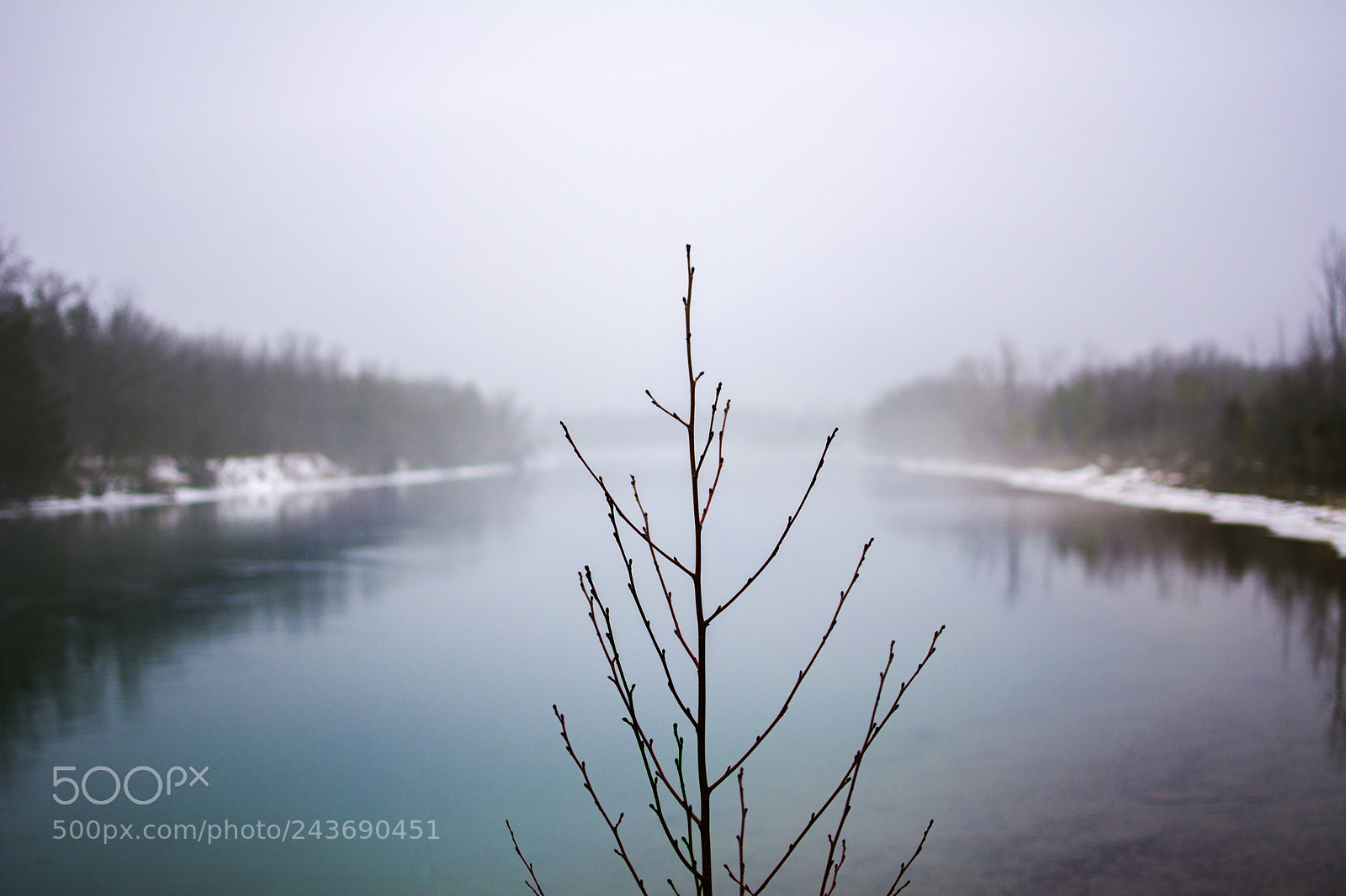 Nikon D7100 sample photo. Morning breath photography