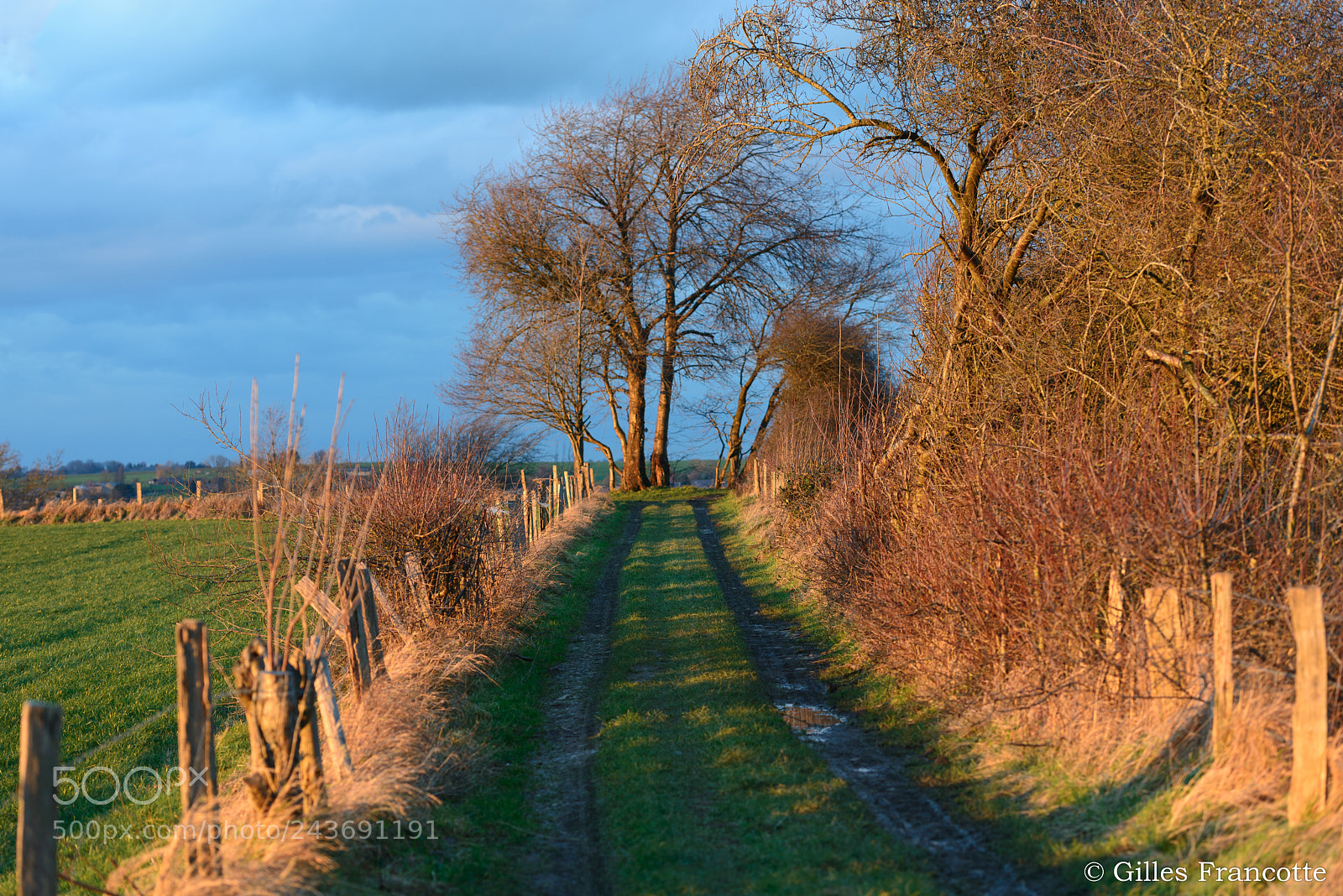 Nikon D800 sample photo. Golden hour. photography