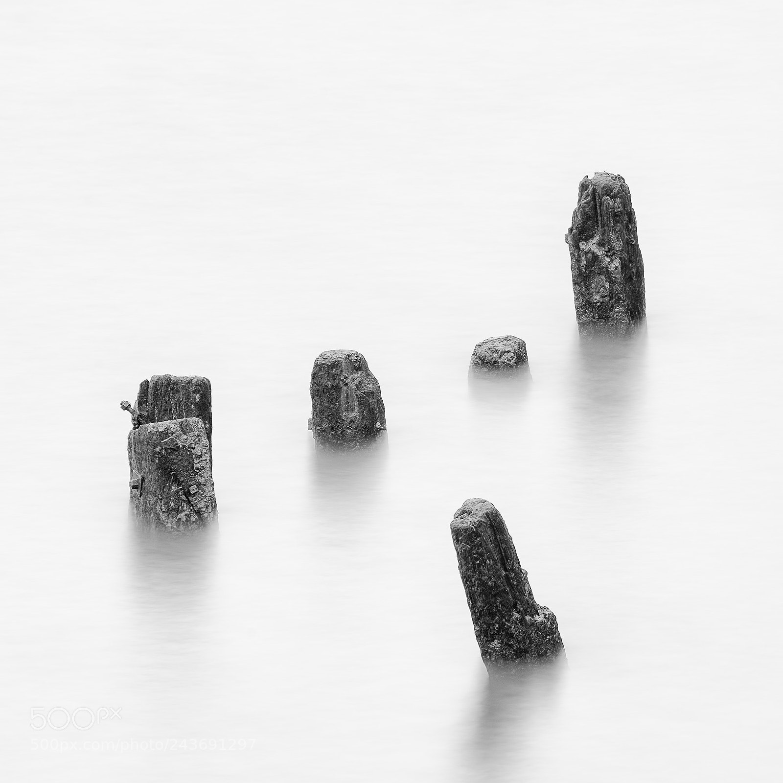 Nikon D810 sample photo. Five posts at the photography