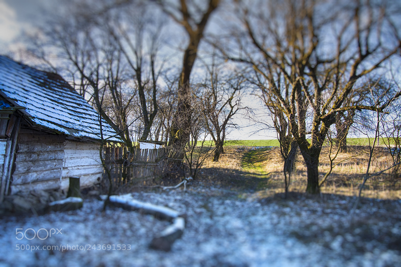 Nikon D500 sample photo. Farm cottage photography