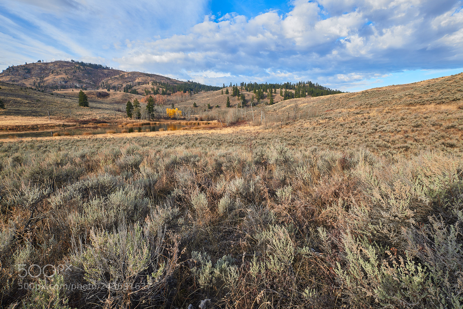 Nikon D850 sample photo. South okanagan grasslands photography