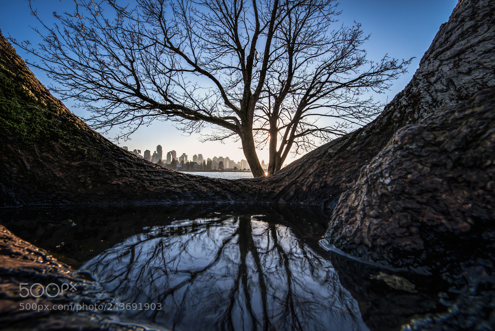 Nikon D800 sample photo. The magical pond photography