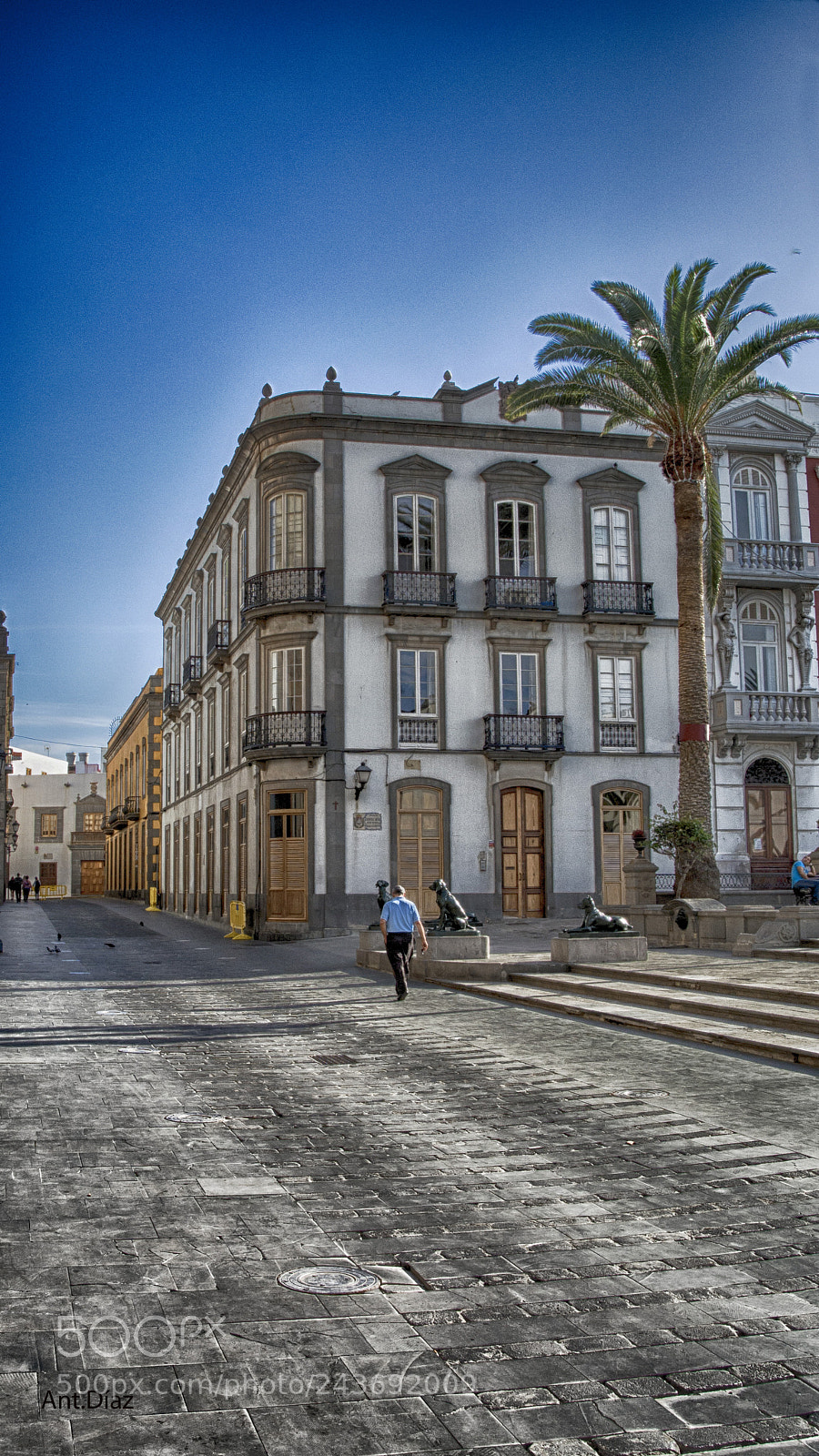 Nikon 1 V1 sample photo. Las palmas de gran photography