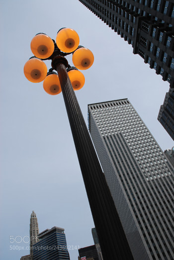 Nikon D60 sample photo. Td photography