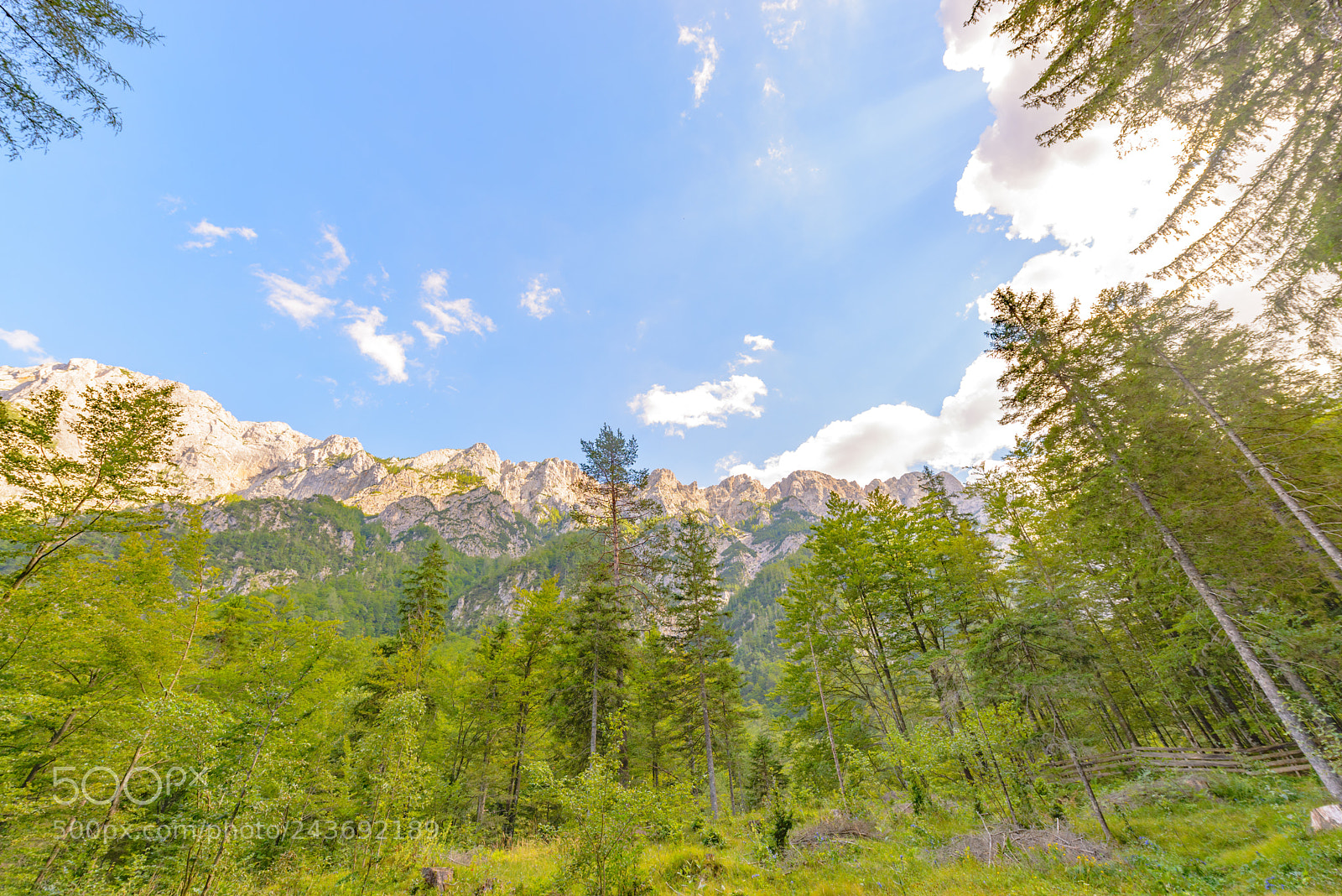 Nikon D600 sample photo. A beutiful landscape in photography