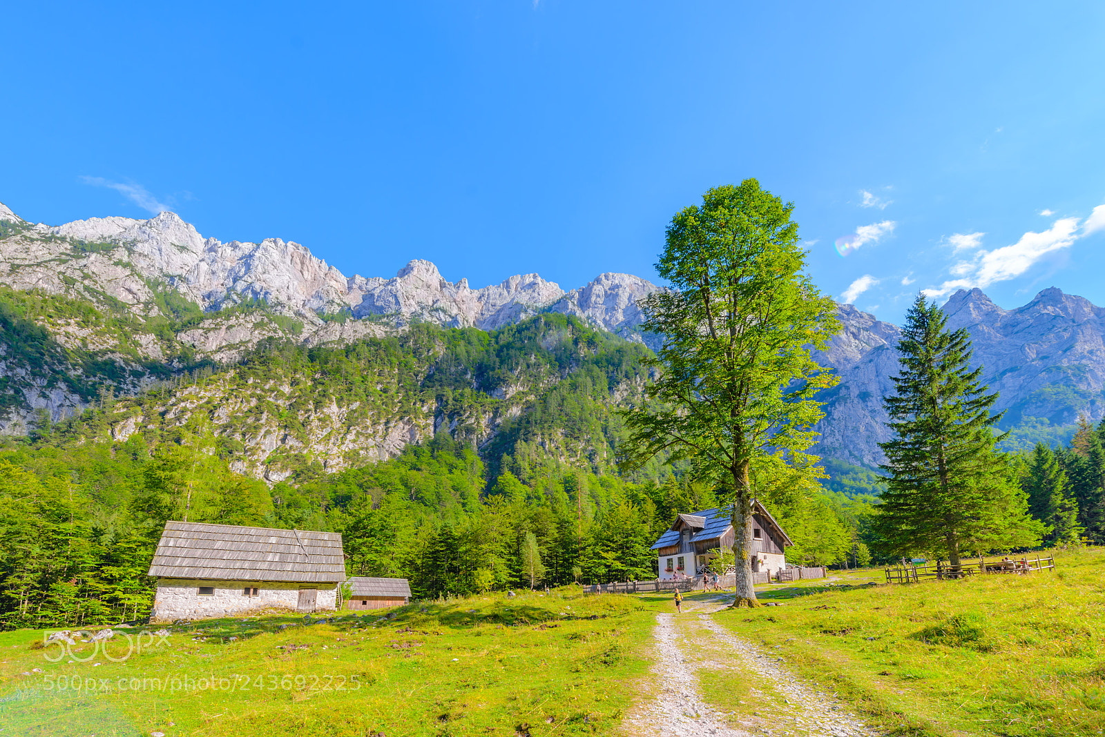 Nikon D600 sample photo. Mountain cabin in european photography