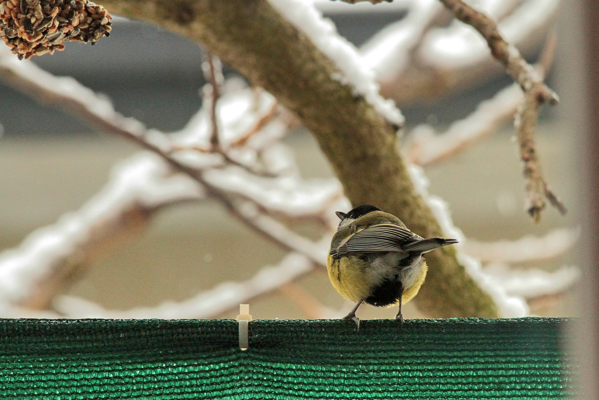 Canon EOS 7D + Canon EF 70-200mm F4L IS USM sample photo. There photography