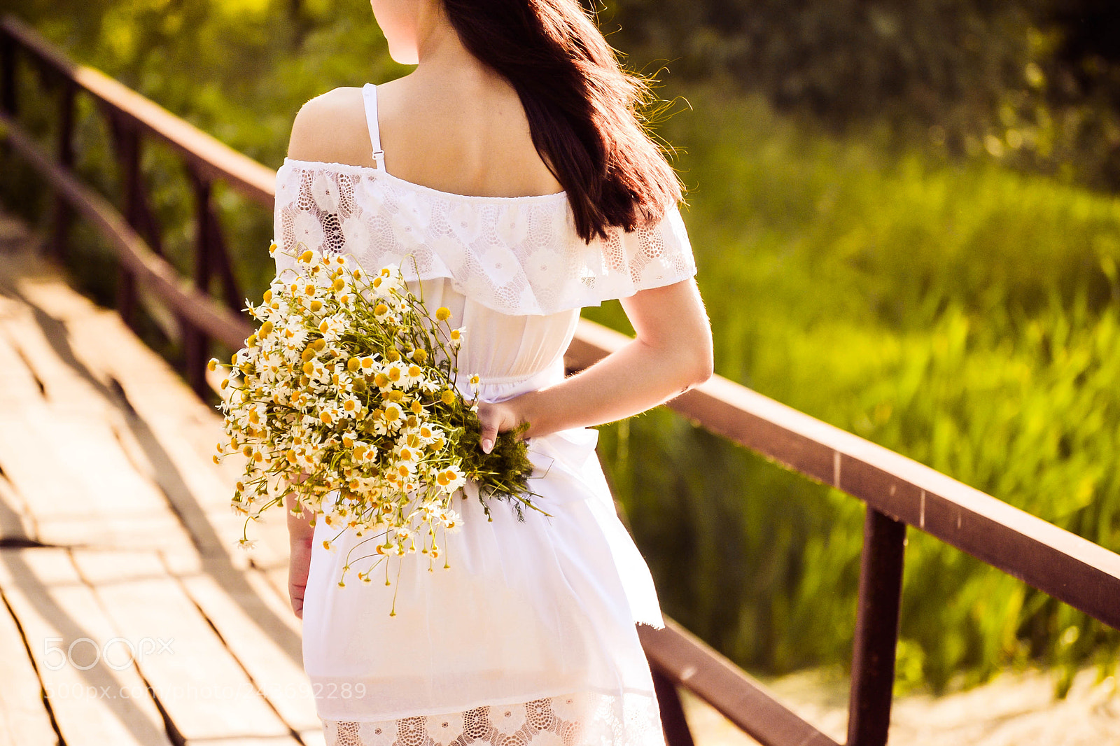 Nikon D3100 sample photo. Flowers photography
