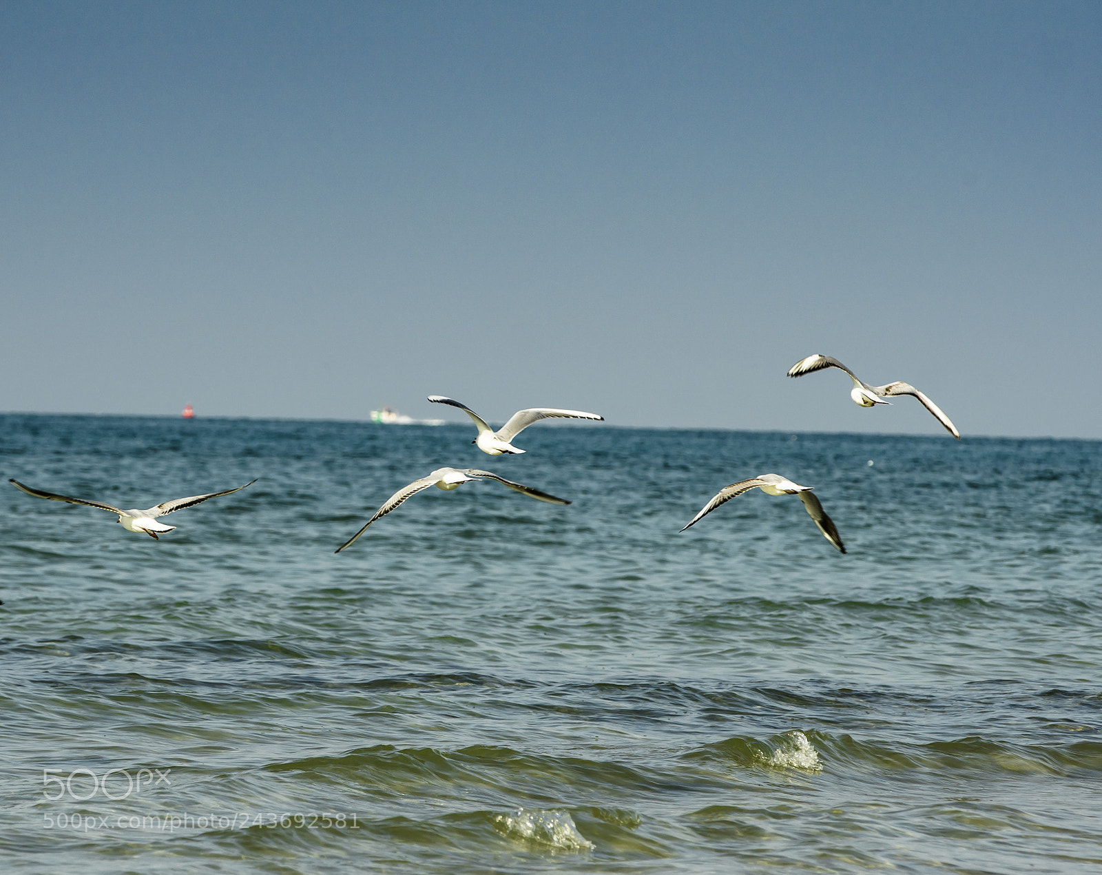Sony a6300 sample photo. Untitled photography