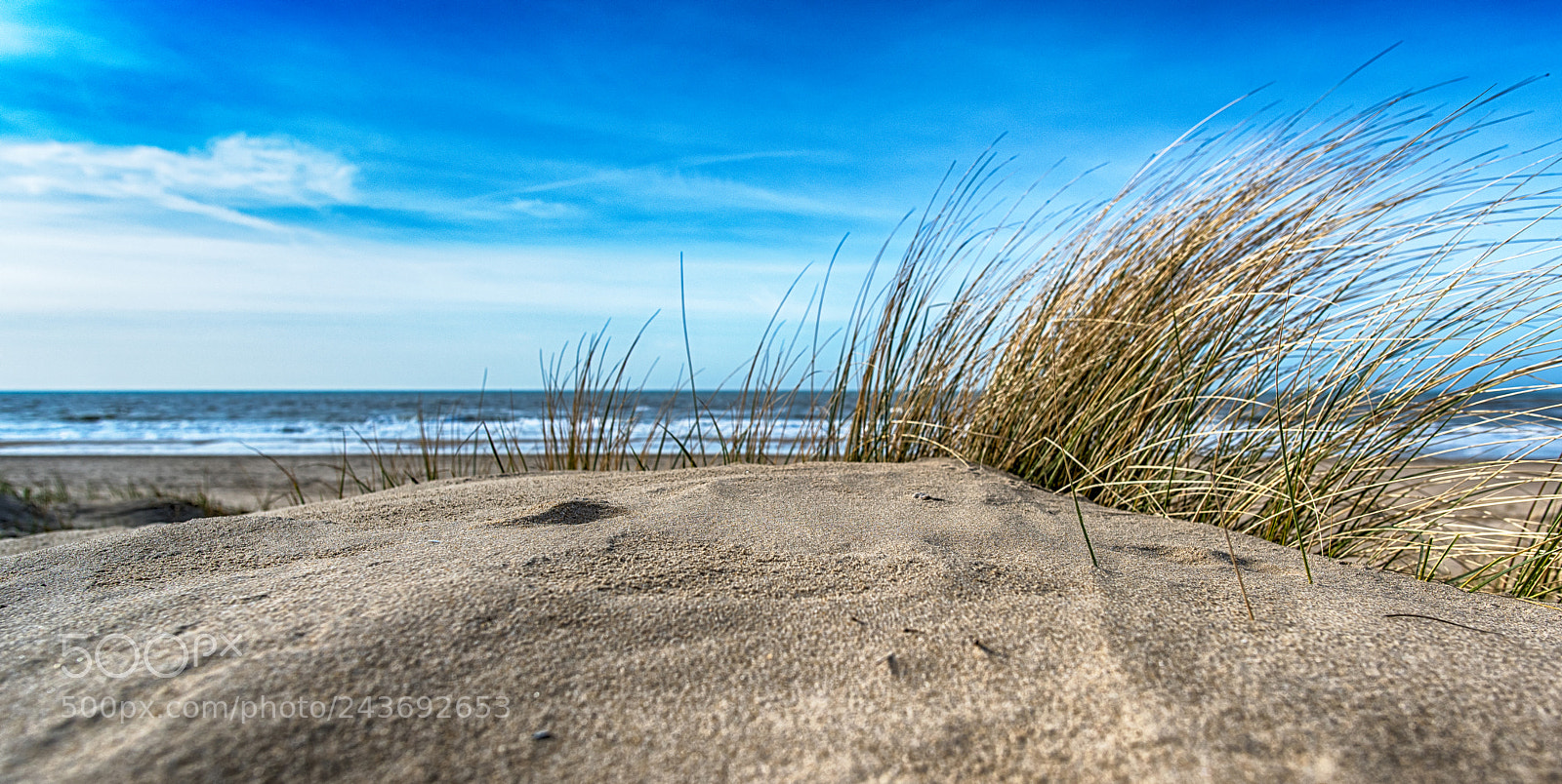 Nikon D810 sample photo. Lovely dune photography