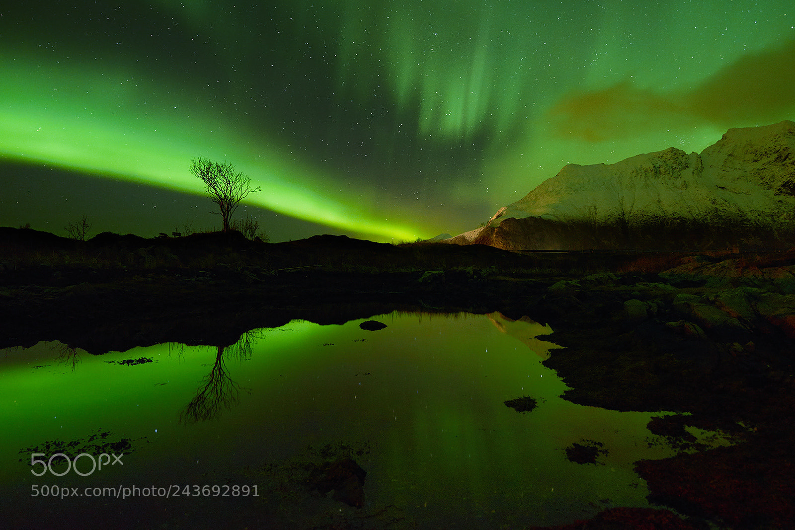 Sony a7 II sample photo. Aurora reflection i. photography