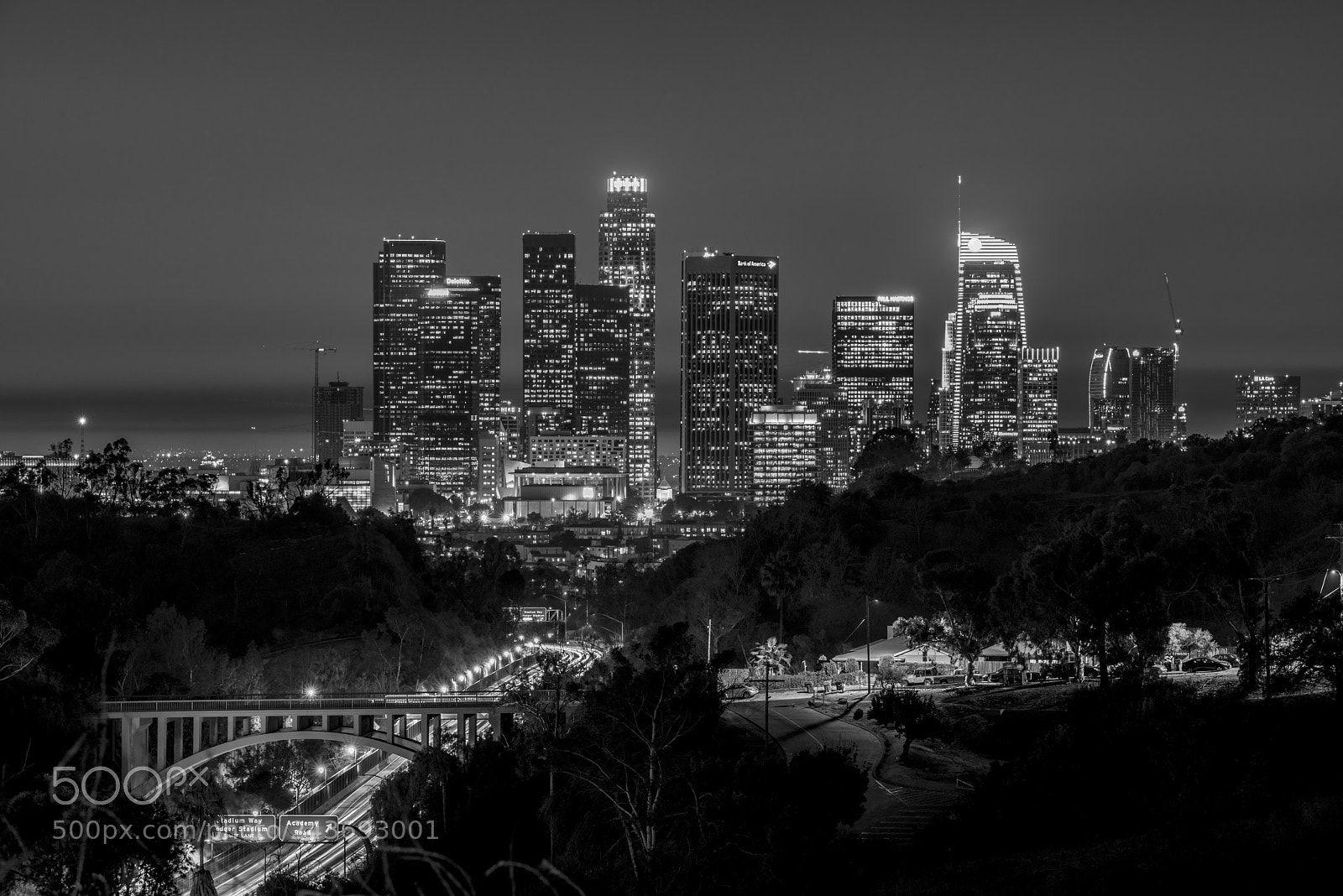 Nikon D800E sample photo. Leading the way photography