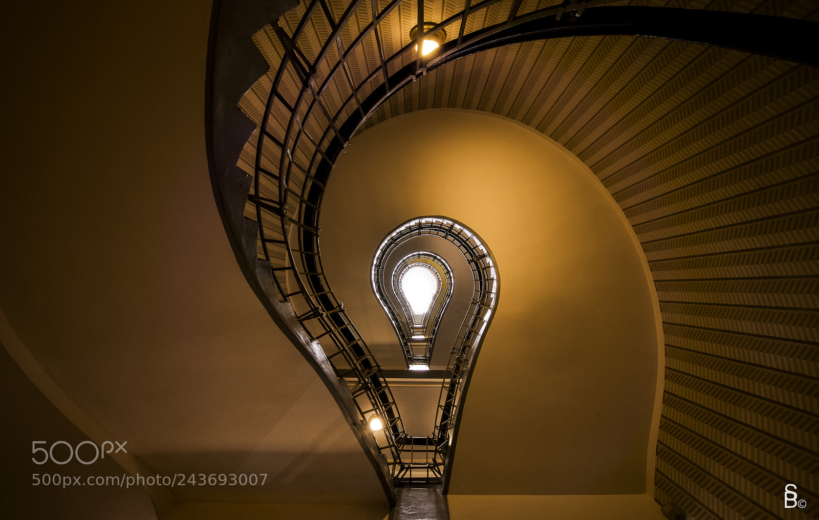 Sony a7 II sample photo. Light bulb ? photography